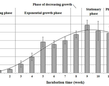 Callus, Growth curve, n                     Hevea brasiliensisn                  , Laticifer