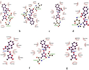 Association, Hosts mycorrhizal association, Strigolactone receptor, DWARF sequence