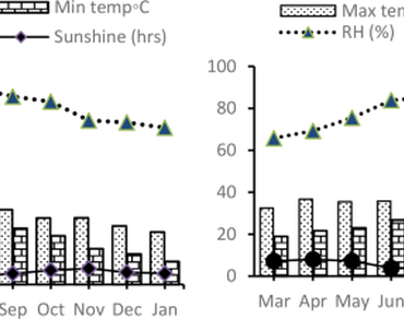 Arrowroot, Genetic diversity, Correlation, Principal component, Bioactive compounds