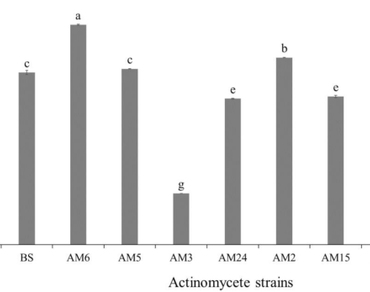 Actinomycetes, Oat, Plant growth-promoting traits, Stress tolerance, Sustainable agriculture