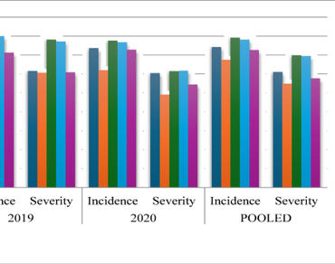 Aromatic rice, Blast, Brown spot, Sheath blight, Disease incidence and severity