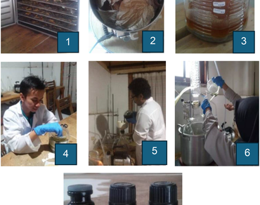 n                     Clitoria ternatean                  , GCMS, n                     Moringa oleiferan                  , n                     Piper betlen                  , n                     Zingiber officinalen