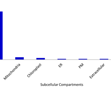 Identification and characterization of GSTase gene family in different developmental stages of C. cajan using various software and computational tools of plant genome biology
