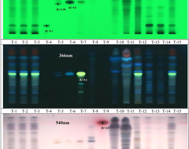 Nimbadi churna, HPTLC, HPLC, GC-MS