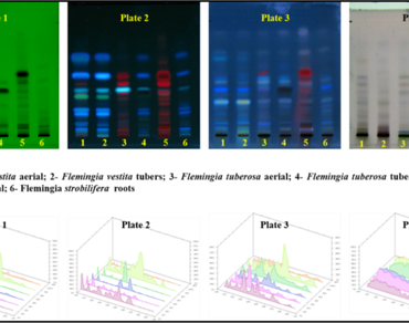 Antioxidant, Biomarker, Chromatography, Endemic, Kaempferol, Safety