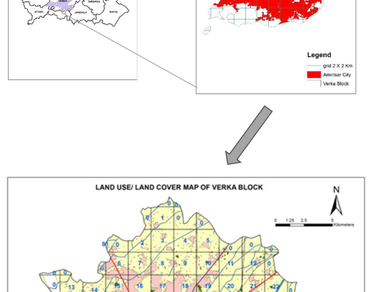 Ethnomedicinal plants, Traditional medicines, Ethnomedicinal survey, Frequency index (FI), Family importance value (FIV), And the factor of informants consensus (FIC)