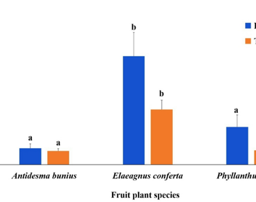 AM fungi, DSE fungi, Root colonization, n                     Antidesman                      buniusn                  , n                     Elaeagnusn                      confertan                  , n                     Phyllanthusn                      acidusn