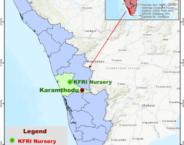 Propagation techniques, Seed viability, n                     Ex-situ conservation, Western Ghats