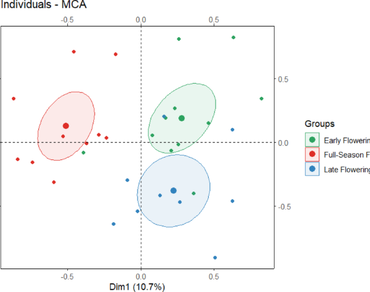 Date palm, Pollination, Male progenitors, Morphological variability, ISSR markers, Joint analysis