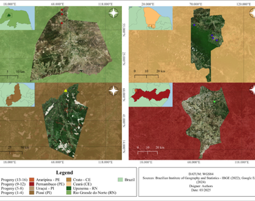 Sabiá, Morphogenetic studies, Genotypic variation, Digital technology