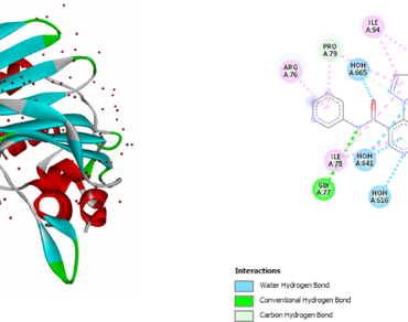 Antihemolytic activity, Antibacterial activity, Molecular docking, ADMET, Secondary metabolite