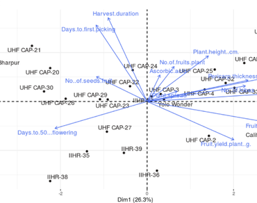 Bell pepper, Divergence, Inter and intra cluster distance, PCA, Heat map