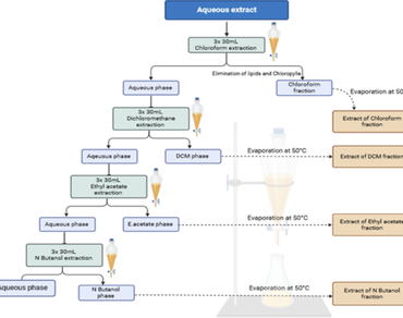 n                     Cistanche violacean                  , GC–MS, FTIR, Antioxidant assay, Antibacterial activity