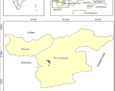 n                     Gymnocladus assamicusn                  , Seed priming, Germination behavior, Morpho-physiological responses, Critically endangered Himalayan plant