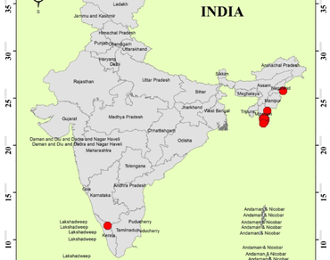 Liverwort, n                     Frullania riojaneirensisn                  , Nagaland, New record, Red list assessment, Endangered