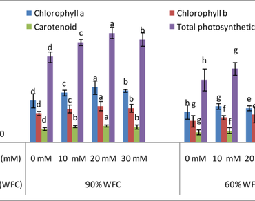 Ethanoic acid, n                     Glycine max L., Water deficit, Seed quality, Yield quantity, Osmolytes, Defense system