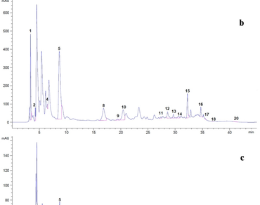 n                     Cinchona pubescens Vahl. stem bark, Antioxidant activity, Cytotoxic activity, Chemical compounds, HPLC