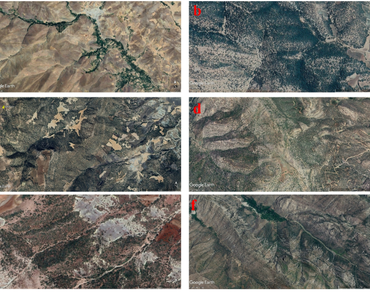 Phytochemical profiling of essential oils in wild indigenous populations of Arum conophalloides from Western Iran