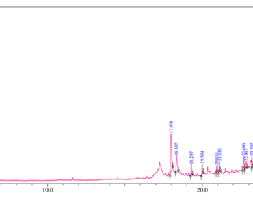 Indole derivative, Cyclooxygenase inhibition, Key amino acids, In-silico studies, ADMET prediction