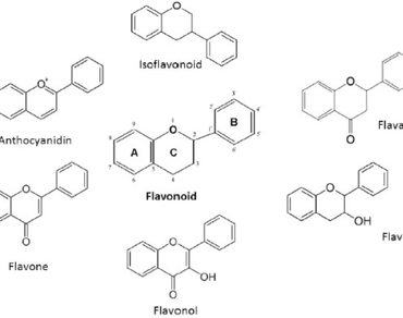 Flavonoids, Plant-derived polyphenolics, Antioxidants, Anti-inflammatory, Cancer prevention