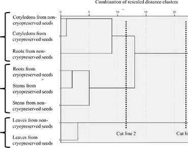 Hierarchical clustering highlights root-specific biochemical responses to bean seed cryopreservation