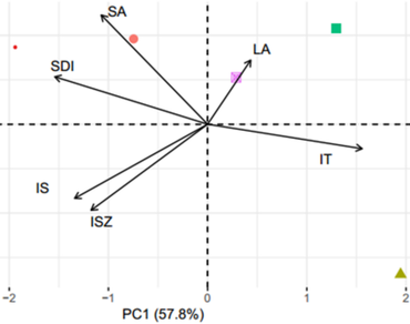 Morphological traits, Vegetative traits, Phenotypic variability, Internode development, Morphokinetic parameters, n                     Cannabis sativan