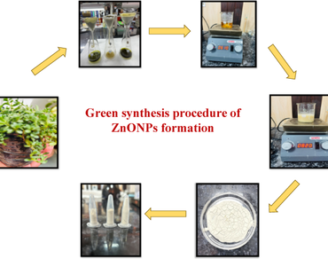 Zinc oxide nanoparticle, n                     Bacopa monnieri (L.), Green synthesis, Medicinal plant, Nanotechnology