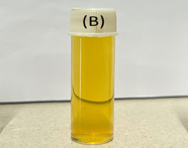 Silver nanoparticles, Green synthesis, n                     Hypoestes phyllostachyan                  , Antibacterial, Antioxidant, Nanotechnology.