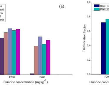 Fluoride, Aluminium, Cluster bean, Accumulation