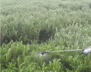 Humic substances, Medicinal plants, Seaweed extract, Sustainable agriculture