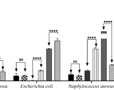 Bacteria, Pathogenic, Resistance, Janaguba, Antibiotics, Flavonoids