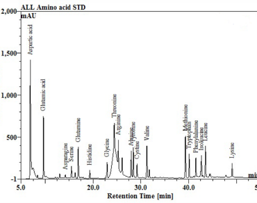Wild edible plants, Amino acid profiling, Nutritional composition, North-East India