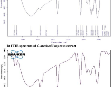 ADME, n                     C. macleodiin                  , FTIR, GC–MS, Phytochemicals