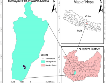 Community forest, Diversity indices, Forest regeneration, Soil carbon