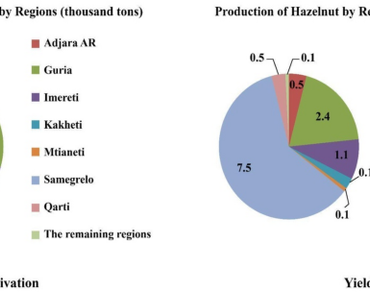 Hazelnuts, Varieties, Morphometric analysis, Kernel, Length
