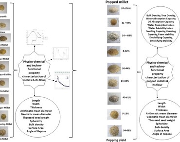 Millets, Pseudocereal, Popping, Starch band, Protein band, Lipid band