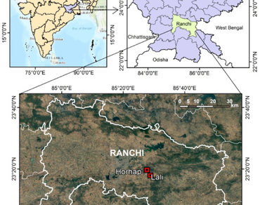 India, Lali forest, New records, Ranchi, Taxonomy