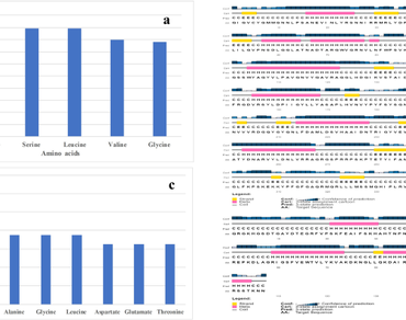 Stress-responsive proteins, Homology modelling, Molecular docking, Protein modelling