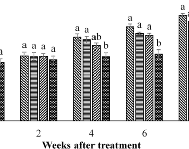 Osmotic stress, Palisade thickness, Salinity, Stomatal density, Stomatal index