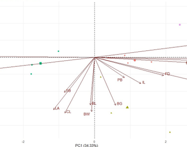n                     Jasminum sambacn                  , Colchicine, Variations, Heritability, PCA