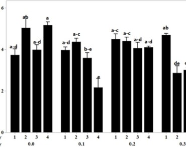 Aberration, Chromosome, Cytogenetical, Mitotic index, Mutation, Mutagenesis