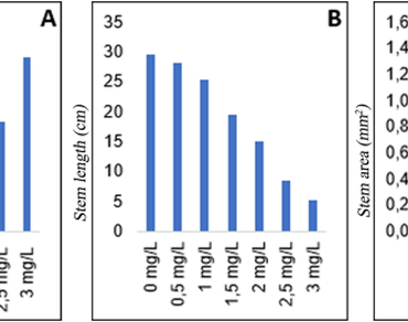 Effects of mercury (HgCl2) stress on shoot growth and stem anatomy of Mentha spicata L. 