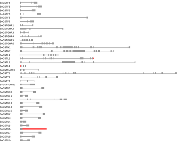 Bioinformatics based characterization and in silico expression profiling of the glutathione S-transferase gene family in spinach (Spinacia oleracea L.) 