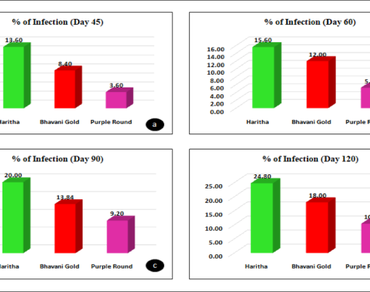 Effects of vesicular arbuscular mycorrhizal fungi and Azospirillum on growth, yield and root symbiosis in brinjal 