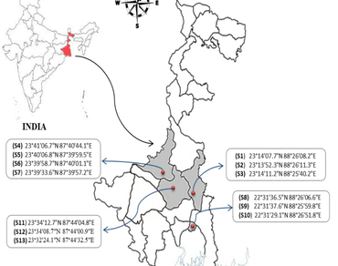 Microalgae, Wetlands, Physicochemical parameter, Canonical correspondence analysis