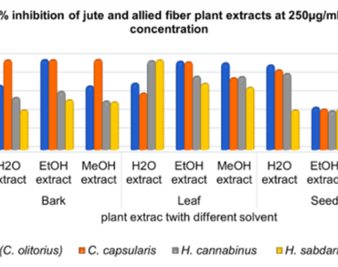 n                     Corchorus spp., n                     Hibiscusn                  , Phytochemicals, GC-MS, Multidrug-resistant (MDR)