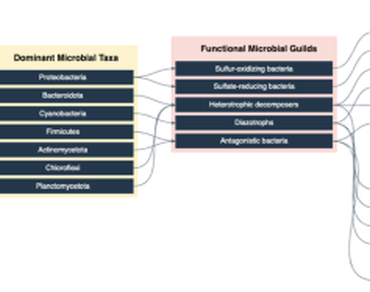 Seagrass, Bacteria, Bioprospecting, Phyllosphere, Endosphere, Rhizosphere