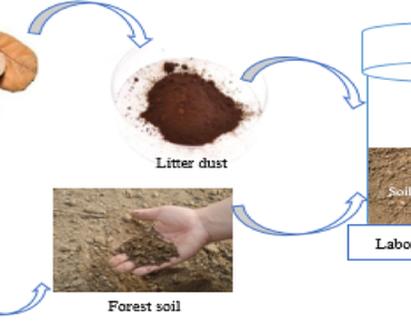 CO2–C flux, Decay rates, First-order kinetics, Soil respiration