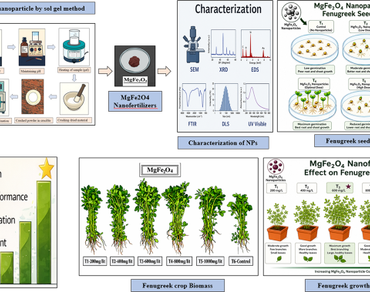 Nanostructured magnesium ferrite (MgFe₂O₄) as an efficient nanofertilizer for improving growth performance and yield of fenugreek 