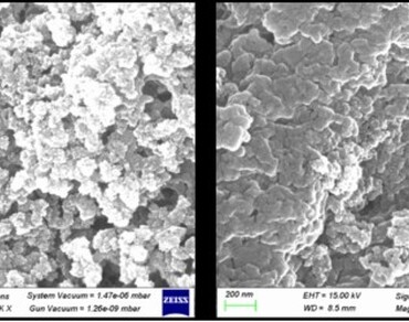 Zinc oxide nanoparticle-based seed priming enhances germination, growth, and yield in okra (Abelmoschus esculentus L.) 